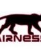 Airness