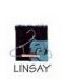 Linsay