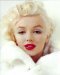 La star Marilyn Monroe