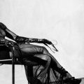 L'héritière Daphne Guinness