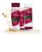 La gamme Color Protect & Lisse de Pantene
