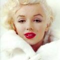 La star Marilyn Monroe