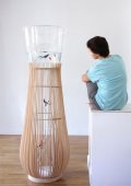 Un duo improbable : un oiseau et un poisson dans le même espace
