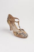 Salomés python 