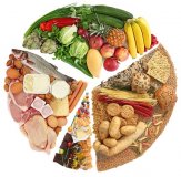 Une alimentation saine et équilibrée