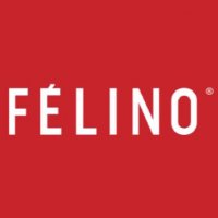 Félino