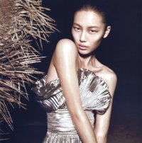 Liu Wen