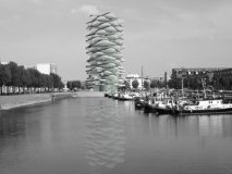 Un Cactus urbain en plein port&nbsp;!