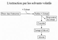 Le schéma simplifié du principe d’extraction par solvants