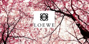 Loewe, Cherry Bloom