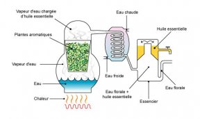 Le procédé de rectification dans la fabrication de parfum