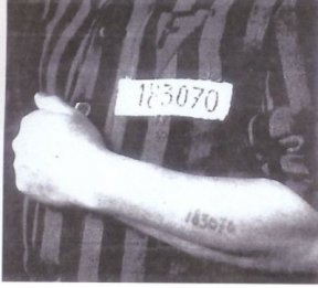 Le tatouage durant l'Holocauste