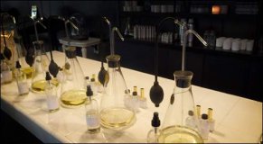 Etre nez : un cursus scientifique en chimie d’abord !