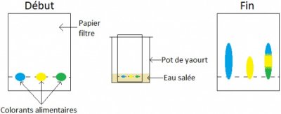 Un schéma simplifié d’une chromatographie de partage