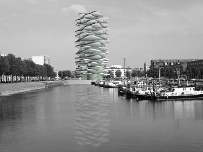 Un Cactus urbain en plein port&nbsp;!