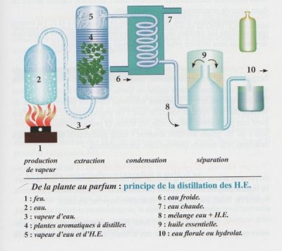 Un schéma simplifié du principe de distillation