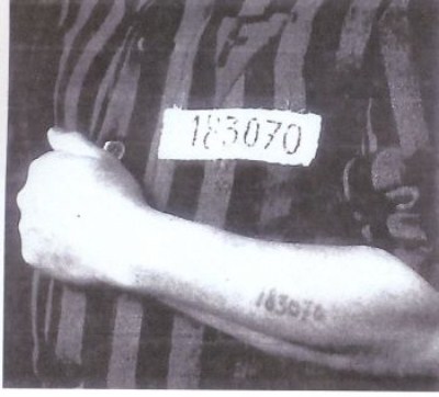 Le tatouage durant l’Holocauste
