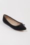 Ballerines pointues 