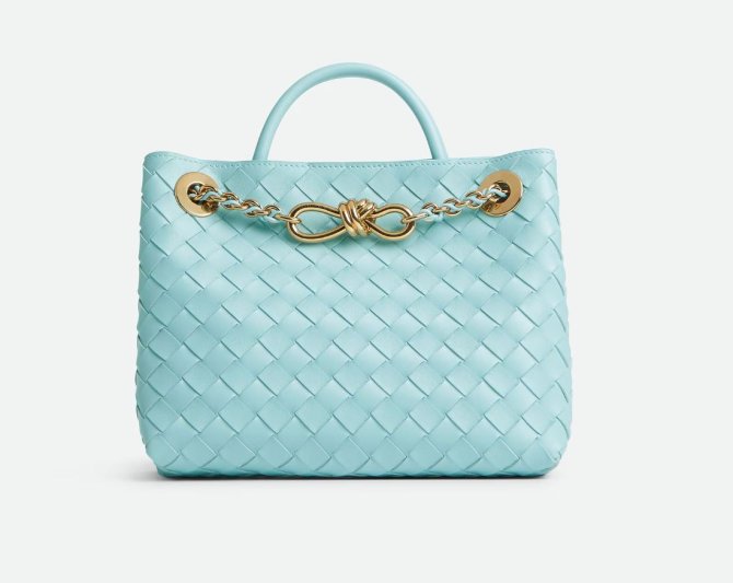 Sac à main Andiamo (Bottega Veneta) petit format en cuir Intrecciato